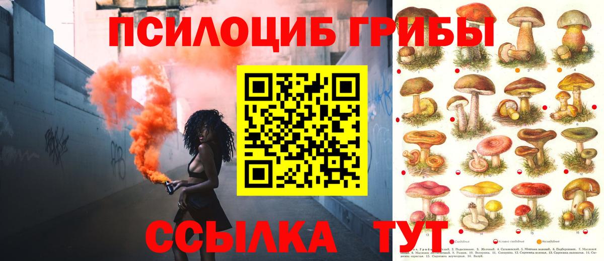 Южноуральск  Псилоцибиновые грибы GOLDEN TEACHER  купить закладку  Вход с VPN 